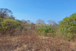 Pinilla 2HA Development Property