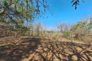 Pinilla 2HA Development Property