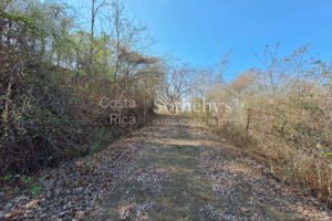 Pinilla 2HA Development Property