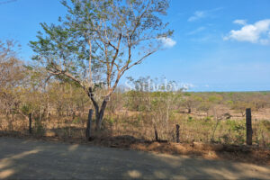 Pinilla 2HA Development Property