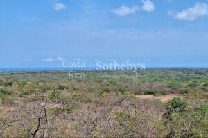 Pinilla 2HA Development Property