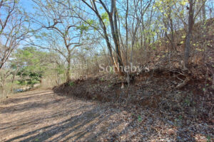 Pinilla 2HA Development Property