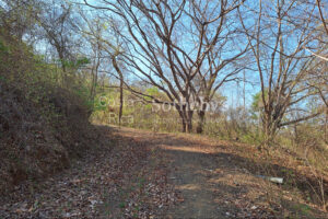 Pinilla 2HA Development Property