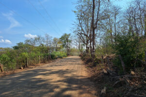 Pinilla 2HA Development Property