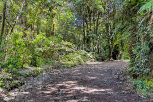 Gran Finca Poás, Reserva Río y Volcán