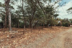 Lot A-104, Section A – Panoramic Nosara Valley Views