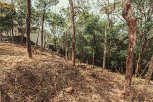 Lot A-104, Section A – Panoramic Nosara Valley Views