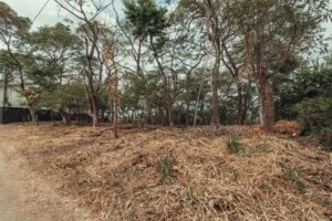 Lot A-104, Section A – Panoramic Nosara Valley Views