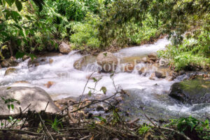 Spring Water