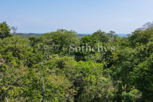 The Retreat in the Treetops