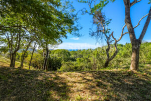 Los Monos Ocean View Lot