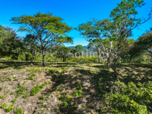 Los Monos Ocean View Lot