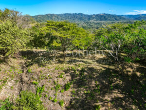Los Monos Ocean View Lot