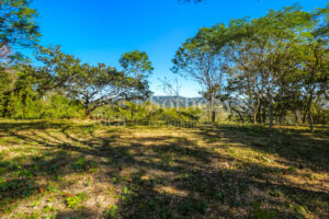 Los Monos Ocean View Lot