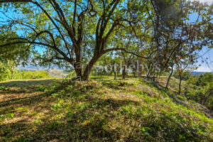 Los Monos Ocean View Lot