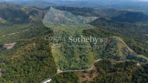 Finca Dorada