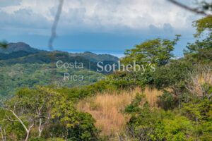 Finca Dorada