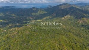 Finca Dorada