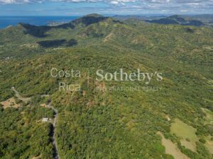 Finca Dorada