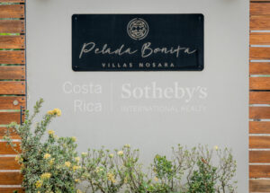 Pelada Bonita – 4 Unit Rental Property