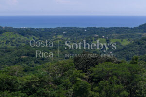 Ocean-View Platforms + Private Reserve