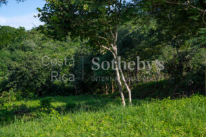 1.67-Acre Lot with Ocean Views and Dual Building Sites