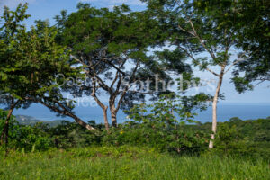 1.67-Acre Lot with Ocean Views and Dual Building Sites