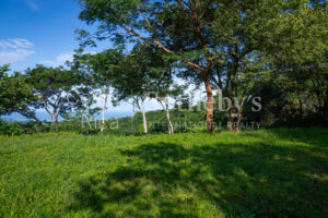 1.67-Acre Lot with Ocean Views and Dual Building Sites