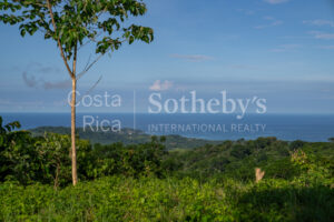 1.67-Acre Lot with Ocean Views and Dual Building Sites