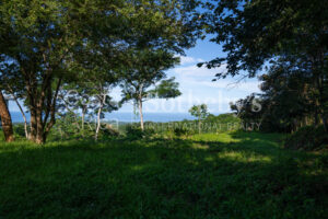 1.67-Acre Lot with Ocean Views and Dual Building Sites