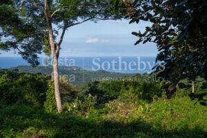 1.67-Acre Lot with Ocean Views and Dual Building Sites
