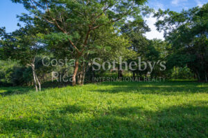 1.67-Acre Lot with Ocean Views and Dual Building Sites