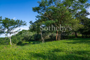 1.67-Acre Lot with Ocean Views and Dual Building Sites