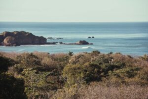 Eternal Ocean View : A Rare Opportunity