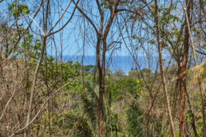 E-9, 1,14 acres with Ocean Views, & walkability in one of the best lo