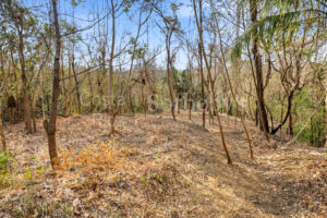 E-9, 1,14 acres with Ocean Views, & walkability in one of the best lo
