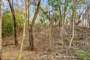 E-9, 1,14 acres with Ocean Views, & walkability in one of the best lo