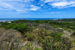 E-9, 1,14 acres with Ocean Views, & walkability in one of the best lo