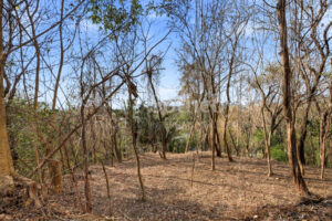 E-9, 1,14 acres with Ocean Views, & walkability in one of the best lo