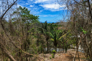 E-9, 1,14 acres with Ocean Views, & walkability in one of the best lo