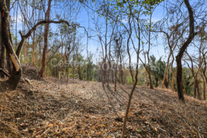 E-9, 1,14 acres with Ocean Views, & walkability in one of the best lo