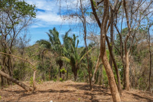 E-9, 1,14 acres with Ocean Views, & walkability in one of the best lo