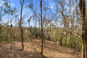 E-9, 1,14 acres with Ocean Views, & walkability in one of the best lo