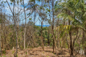 E-9, 1,14 acres with Ocean Views, & walkability in one of the best lo