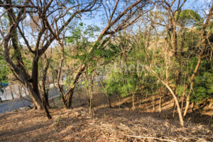 E-9, 1,14 acres with Ocean Views, & walkability in one of the best lo
