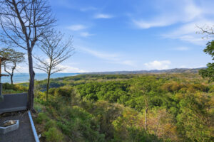 Panorámica