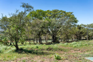 Parcela en Barons Residencial