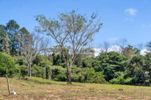 Parcela en Barons Residencial