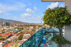 Metropolitan Oasis Penthouse
