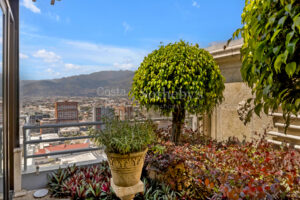 Metropolitan Oasis Penthouse